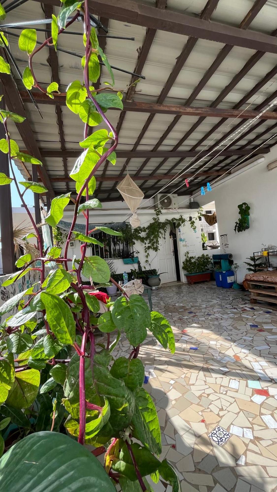 Dar Dyali Rooftop ⁿᵉᵃʳ ⁿᵍᵒʳ ᵇᵉᵃᶜʰ ᵃⁿᵈ ⁱˢˡᵃⁿᵈ Дакар Экстерьер фото